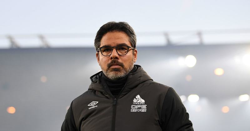 Хаддерсфилд Таун — Брайтон энд Хоув Альбион