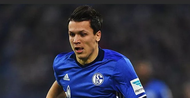 Коноплянка