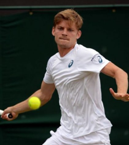 Гоффин - Джокович