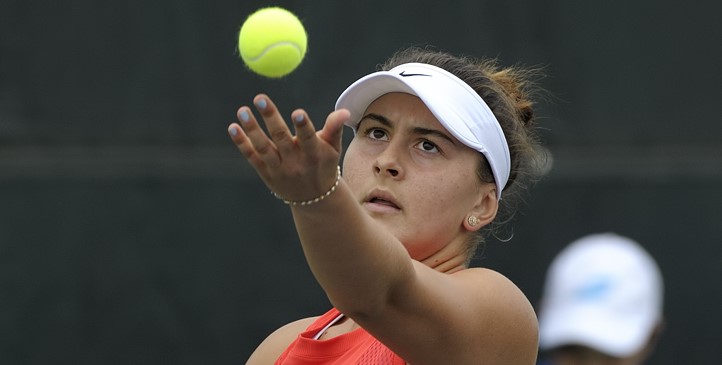 Возняцки - Андрееску