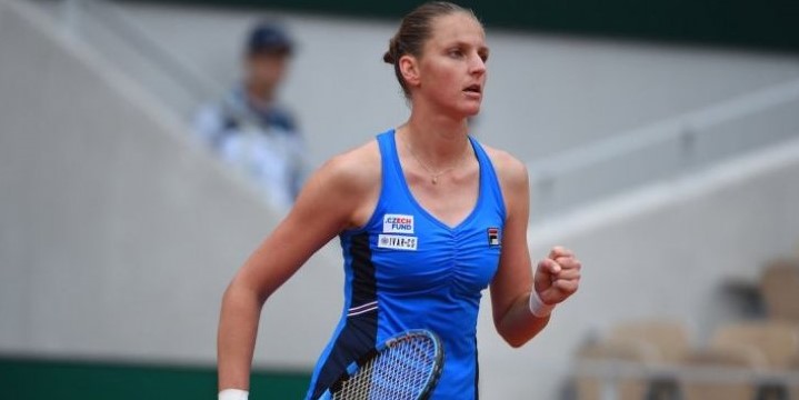 Плишкова - Херцог