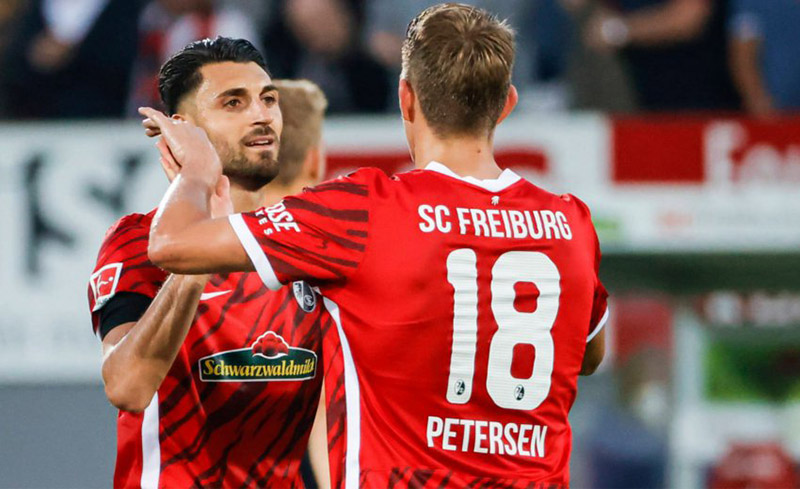 Состав Фрайбурга