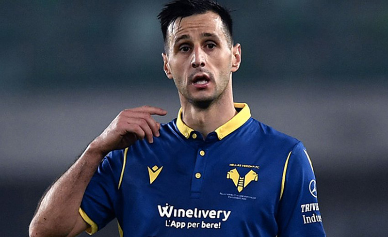 Состав Вероны